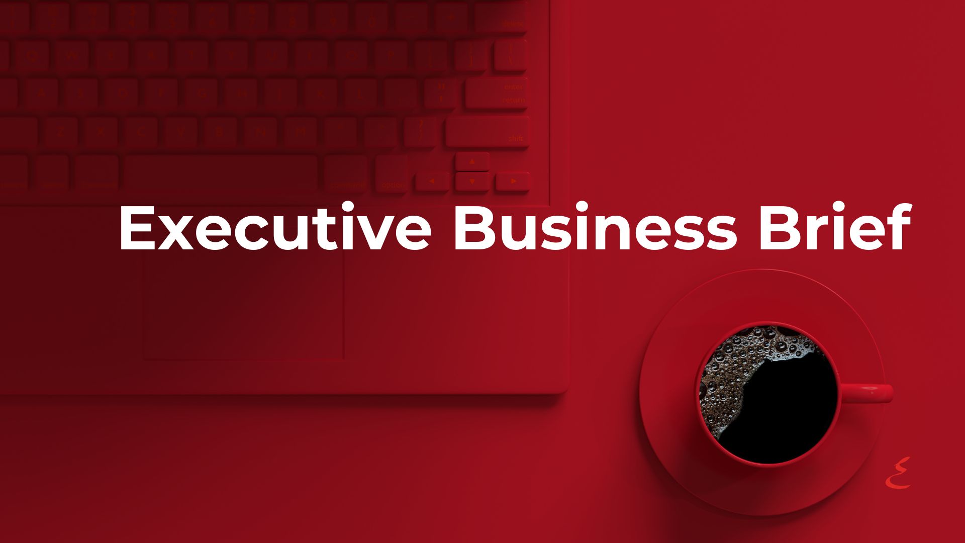 Efficio's Executive Business Brief logo on a clean [red] background, representing strategic insights and business planning for company owners