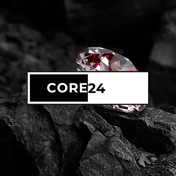 A polished diamond resting on rugged black rocks, symbolizing Efficio's CORE24 program as a refined education experience for uncovering and developing business potential.